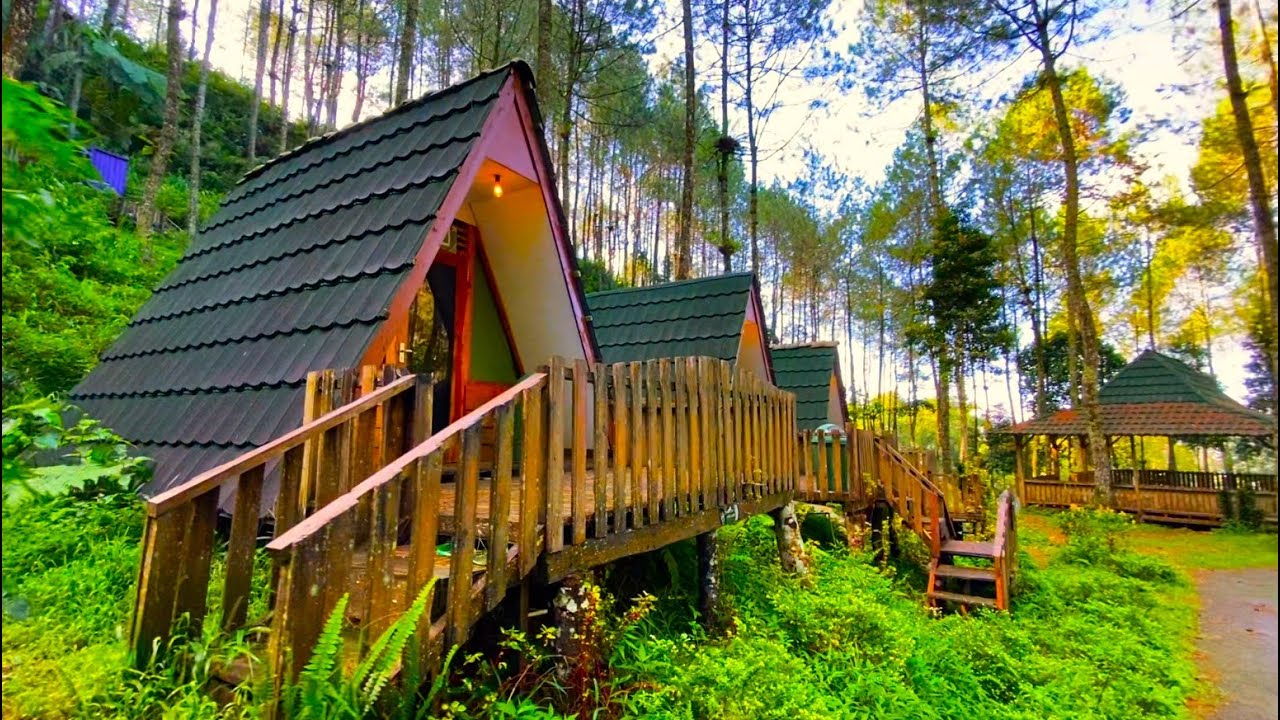 Telomoyo Nature Park: Menjelajahi Keindahan Alam di Lereng Merapi